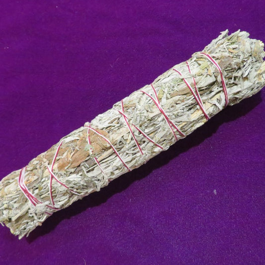 Black Sage / Mugwort   Sage#20