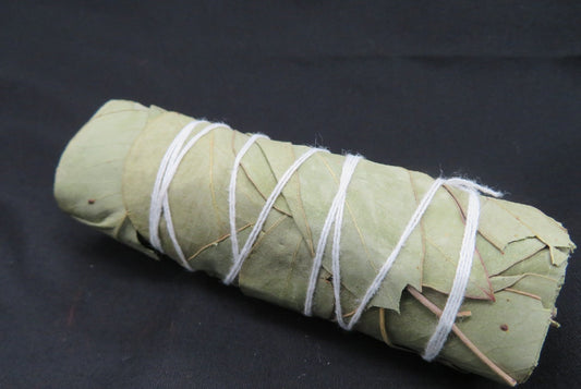 Eucalyptus Sage   Sage#14