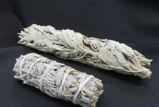 White Sage  Sage#7