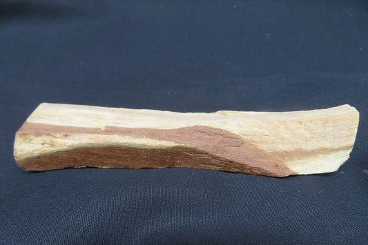 Palo Santo Sage  Sage#22