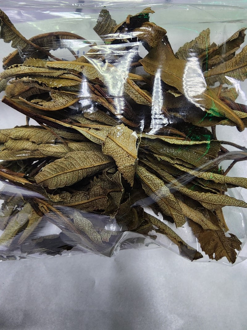 Yerba Santa Loose Leaf Sage.... Sage#25