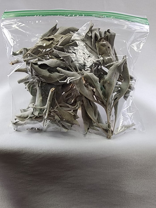 Bag of leaf White Sage  Sage#7