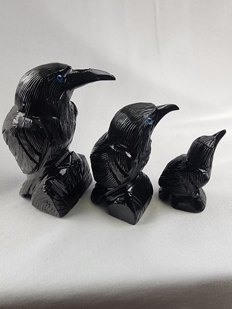 Black Onyx Ravens